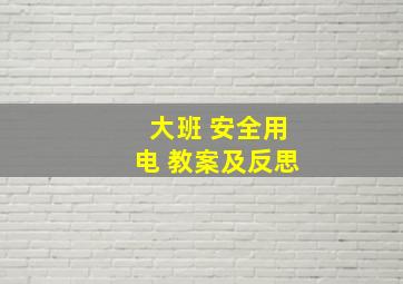 大班 安全用电 教案及反思